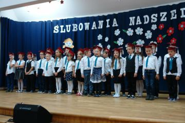 Subowanie-klas-1003