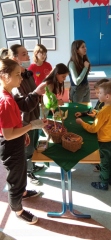 IMG_20220321_100248