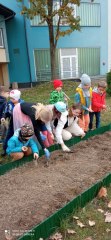 IMG_20221018_090825